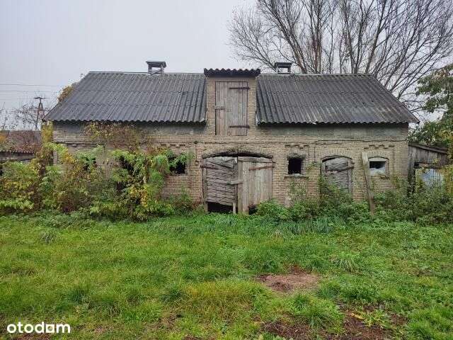 Działka siedliskowa tanio - Pełny obrazek: 5/6