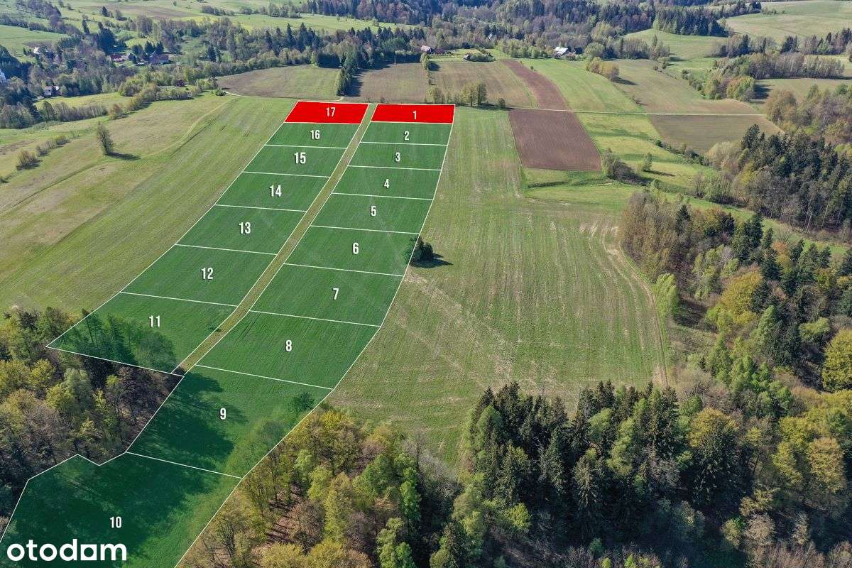 Działki widokowe w gminie Międzylesie / 3000 mkw.-2