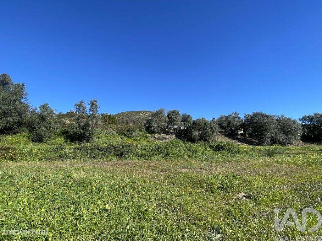 Quinta T5 em Alverca do Ribatejo e Sobralinho de 304,00 m2 - Grande imagem: 4/30