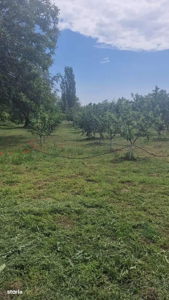 Teren 2550 mp , com Vernesti, Niscov - Imagine principală: 1/3