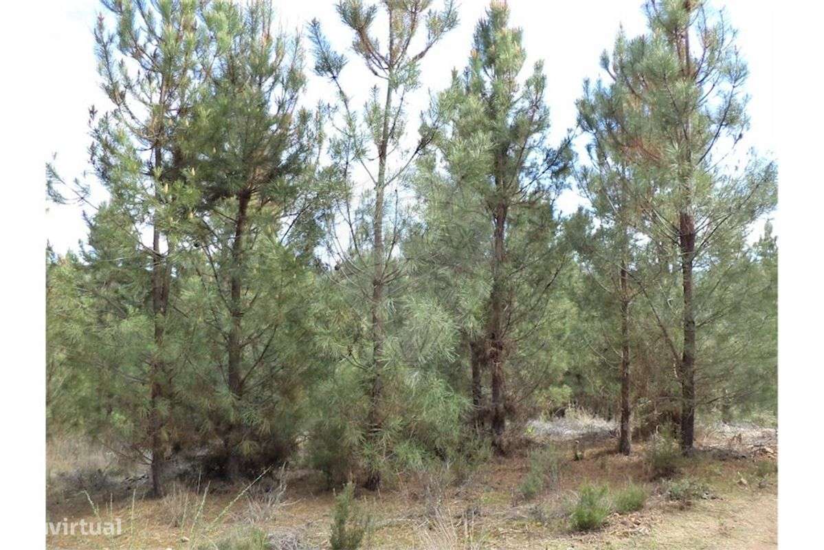 Quinta T0 para venda - Grande imagem: 5/24