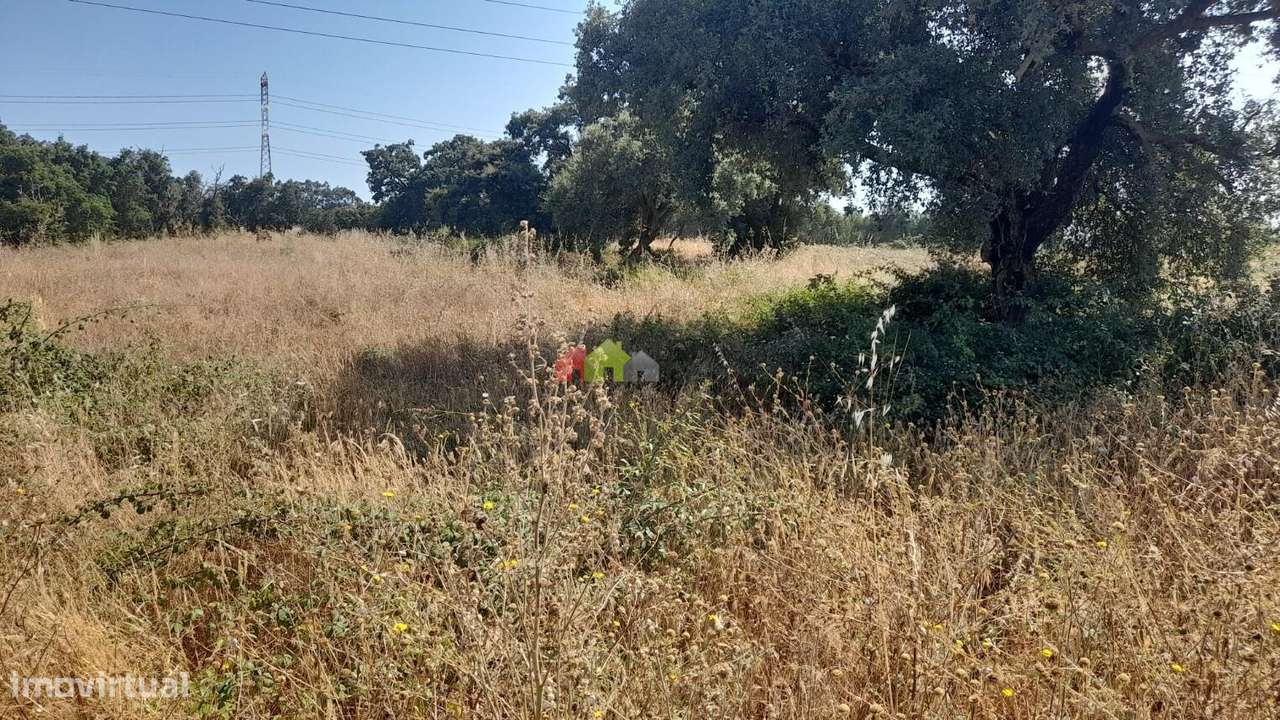 Terreno rústico com 9.200m2 em Palmela - Grande imagem: 3/6