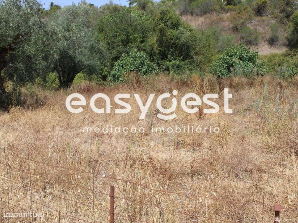 Terreno Rustico com 640m2, localizado a 10min da cidade de Tomar - Grande imagem: 5/14