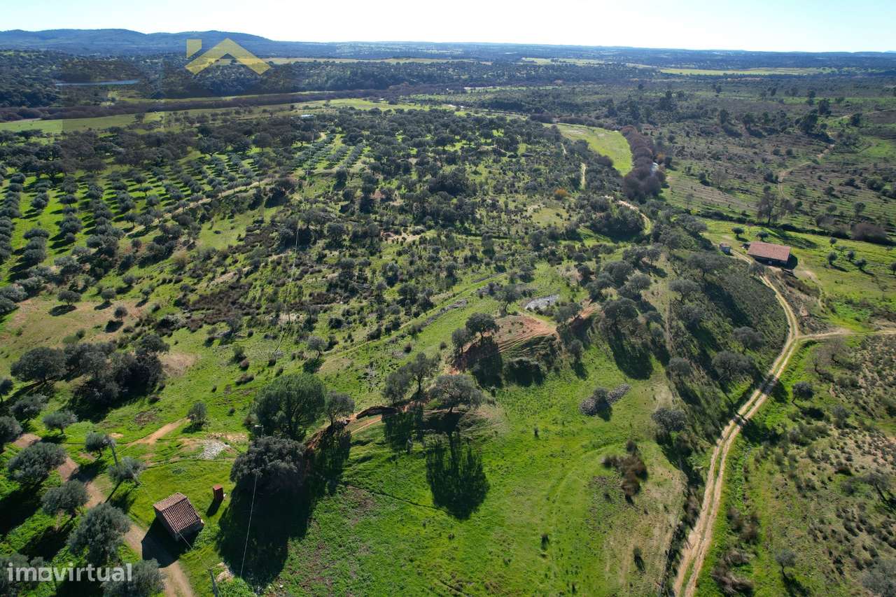 Quinta  Venda em Escalos de Baixo e Mata,Castelo Branco - Grande imagem: 2/33