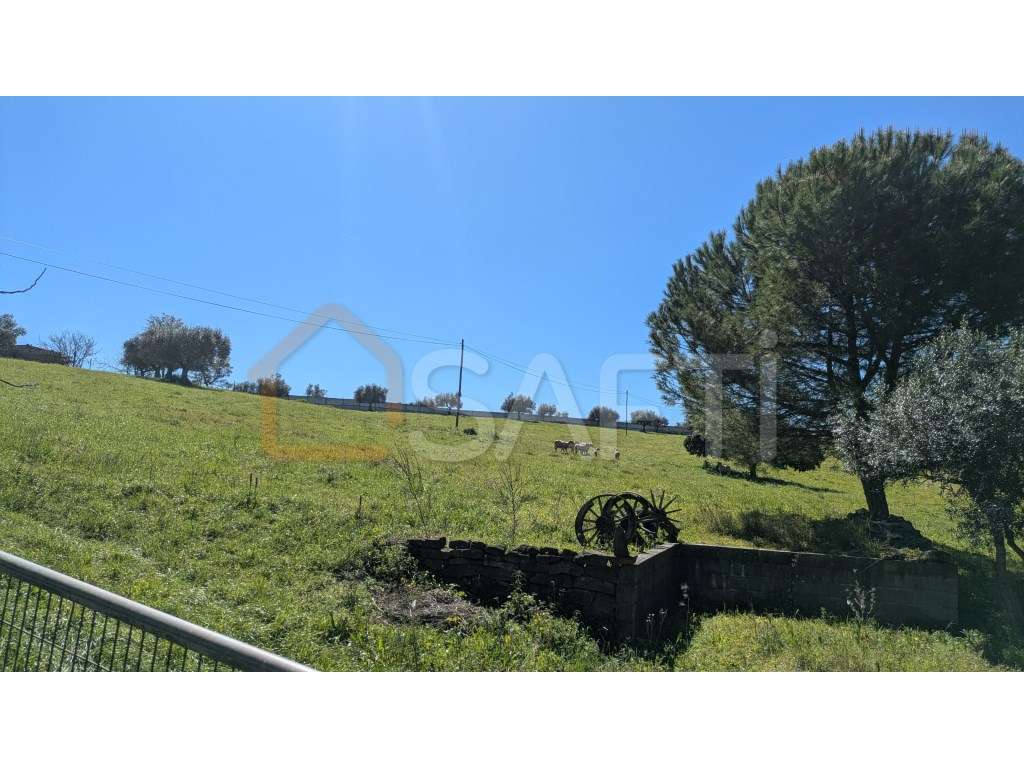 Quinta em Santarém - Grande imagem: 5/47