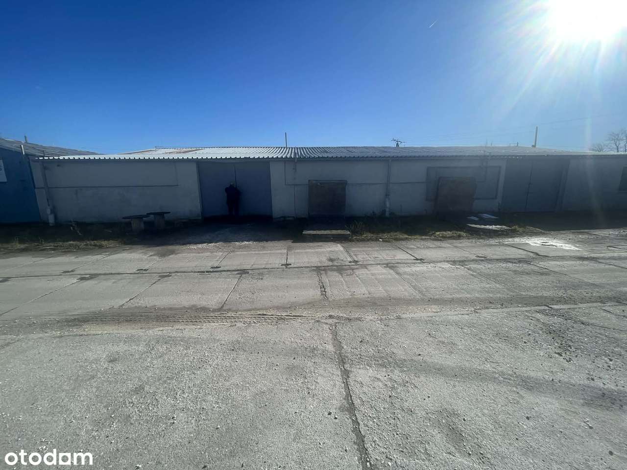 Magazyn 254 m² Niemodlin