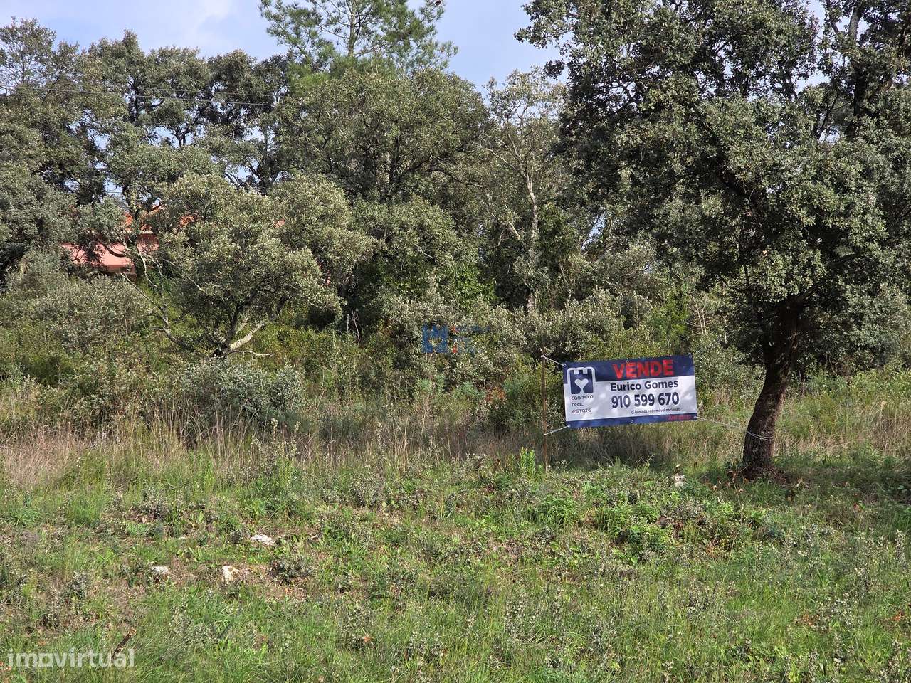 Lotes de terreno em Minde-9