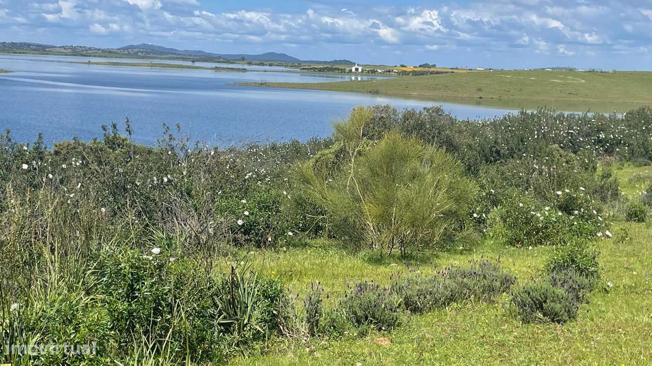 Terreno na Margem Alqueva-11