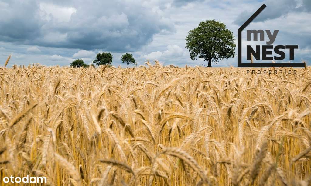 ŁĘCZYCA | Grunty Rolne | 6,82 ha | OKAZJA-0