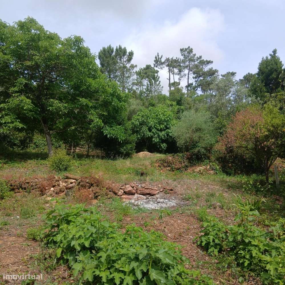 TERRENO COM VIABILIDADE DE CONSTRUÇÃO EM ASSAFARGE – COIMBRA - Grande imagem: 5/30