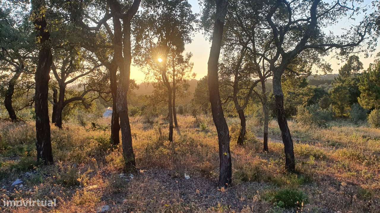 Terreno para Moradia com vista para a Serra D'Aire e Candeeiros-13