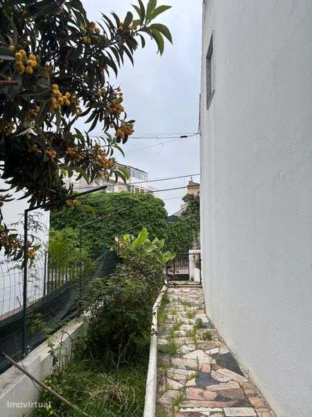 Moradia em Lagoa para venda com 2 pisos independentes e quintal - Grande imagem: 4/10