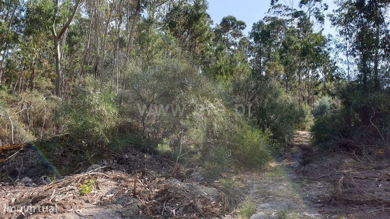 Terreno rústico com 6.645 m2 em Cabeceiras de Basto - Grande imagem: 3/20