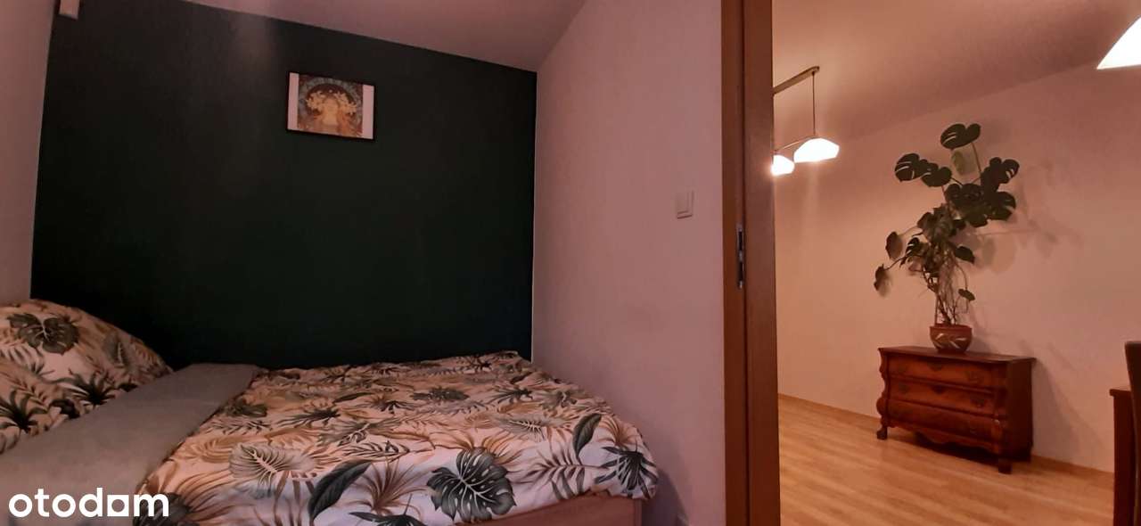 Katowice, Ligota, 3 pokoje, po gruntownym remoncie,meble,wysoki parter-13