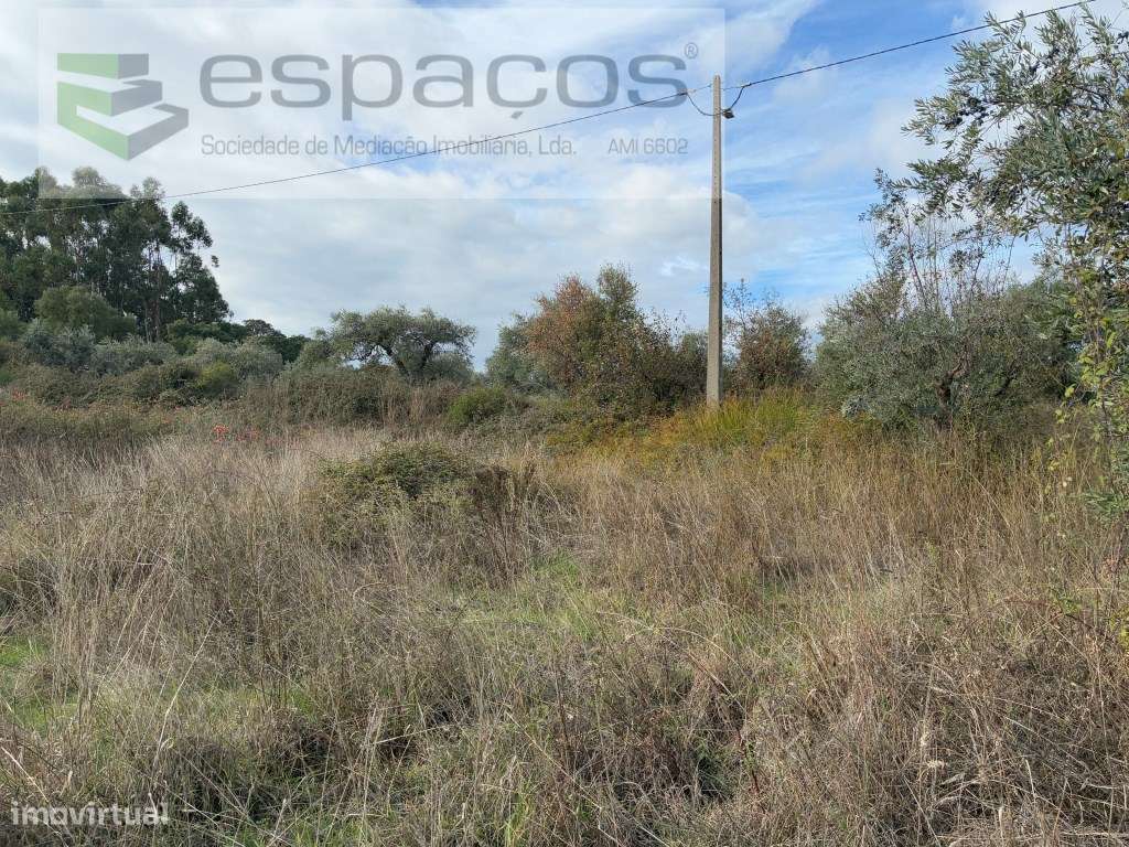 Quinta com casa de Habitação-40