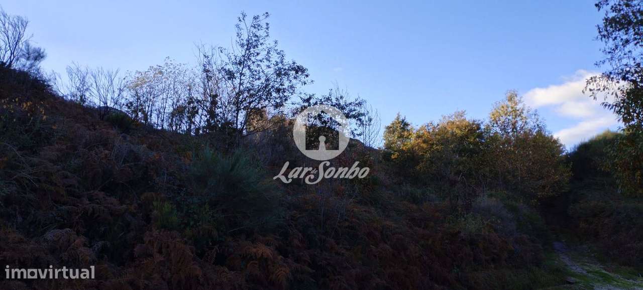 Terreno Rústico com 8.569m² em Zona Alta da Cidade de Fafe-11