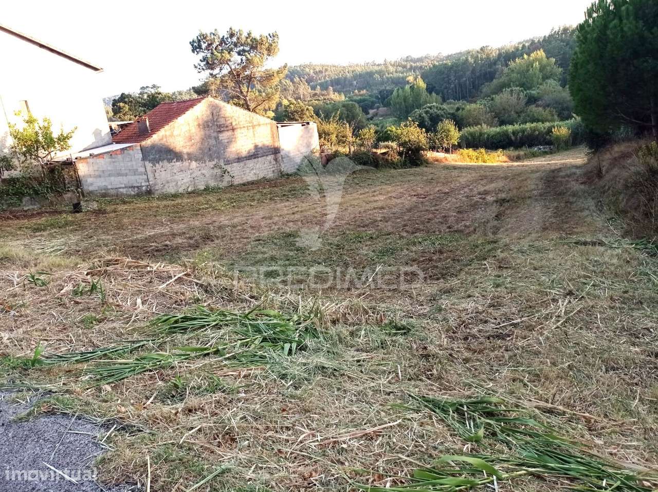 TERRENO ALCOBERTAS - Grande imagem: 4/4