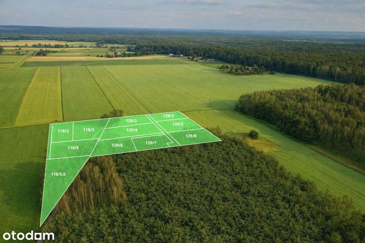 Działki budowlane w otulinie lasu-5