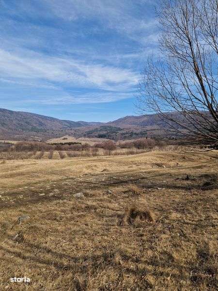 Vand teren intravilan - Nucsoara - Imagine principală: 4/8