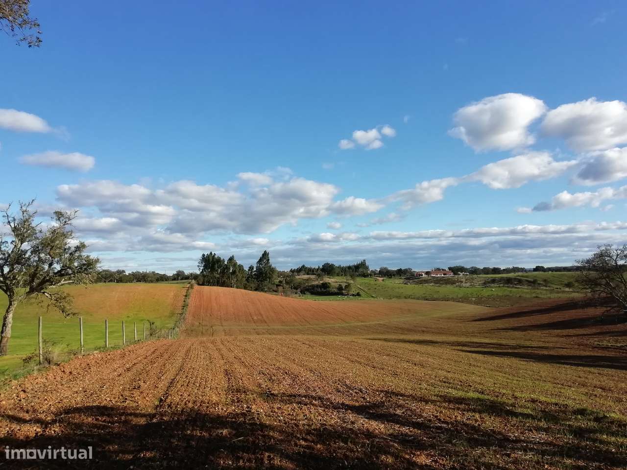 Monte Alentejano com casa e projeto turismo aprovado - Grande imagem: 4/10