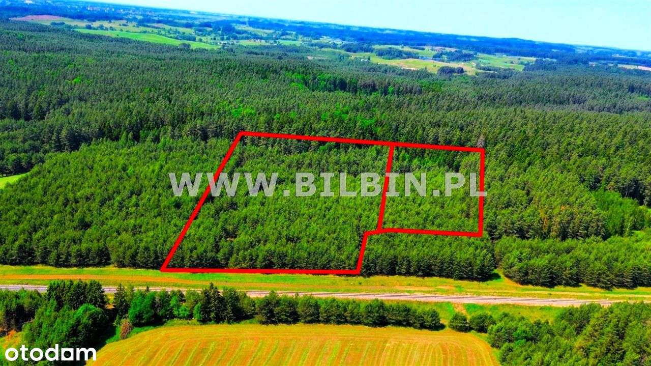 Działka leśna w Nowej Wsi.-1