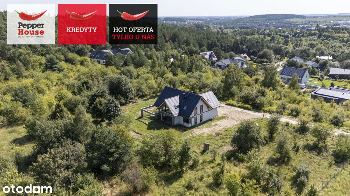 Straszyn- piękny, przeszklony dom w otulinie lasu - Pełny obrazek: 4/20