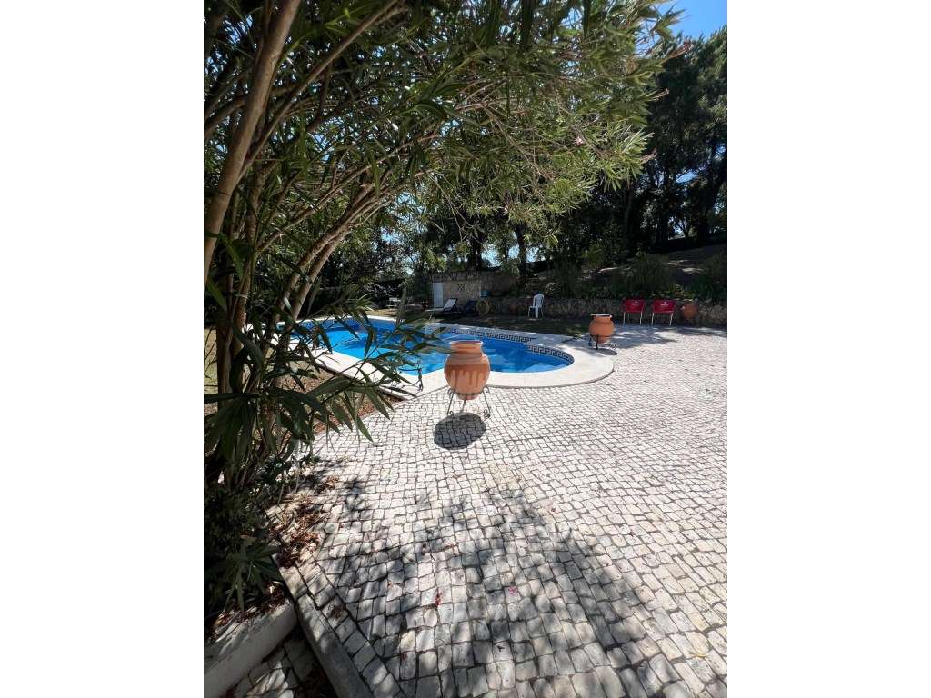 Moradia Térrea com piscina em Santa Catarina - Grande imagem: 5/15