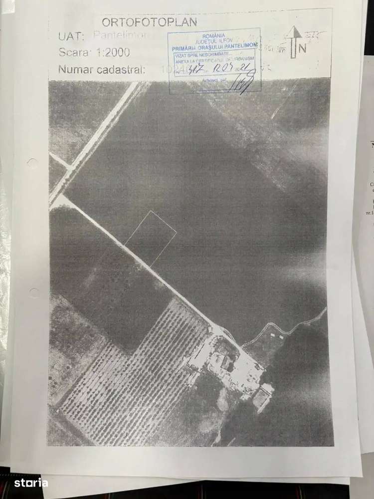 Oportunitate Teren Case Individuale sau Duplexuri Padurea Cernica 300m - Imagine principală: 3/4