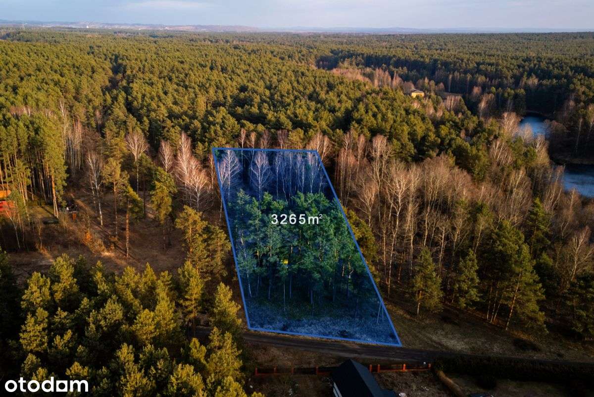 Działka budowlana w spokojnej okolicy - 3265 m2. - Pełny obrazek: 4/7