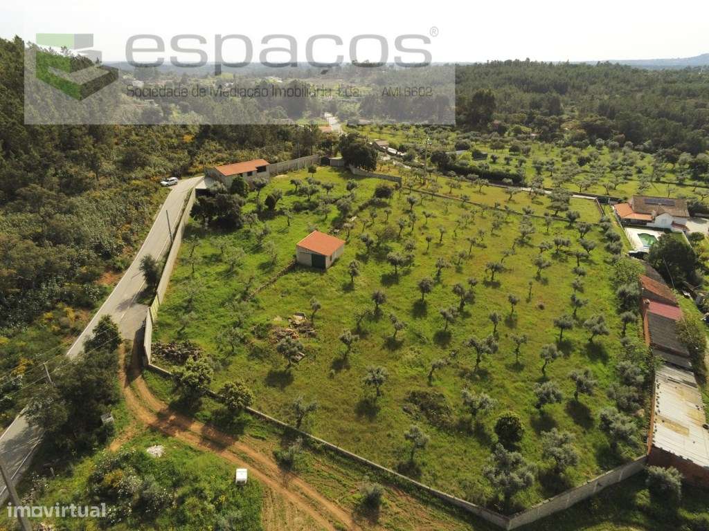 Quintinha - Grande imagem: 3/24