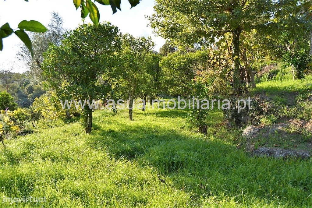 Terreno Agrícola - Bouro Sta Maria