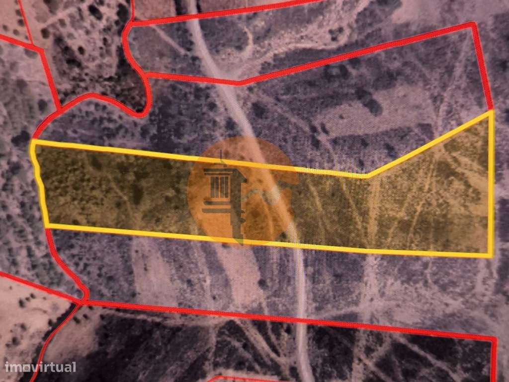 TERRENO COM 15.880 M2 - COM ÁGUA - COM APOIO AGRÍCOLA - ALTURA - CA... - Grande imagem: 2/41