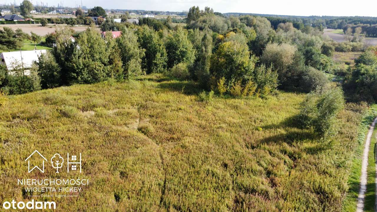 2 Działki w otoczeniu drzew – Wyszyna, gmina Stara Biała k Płocka-2