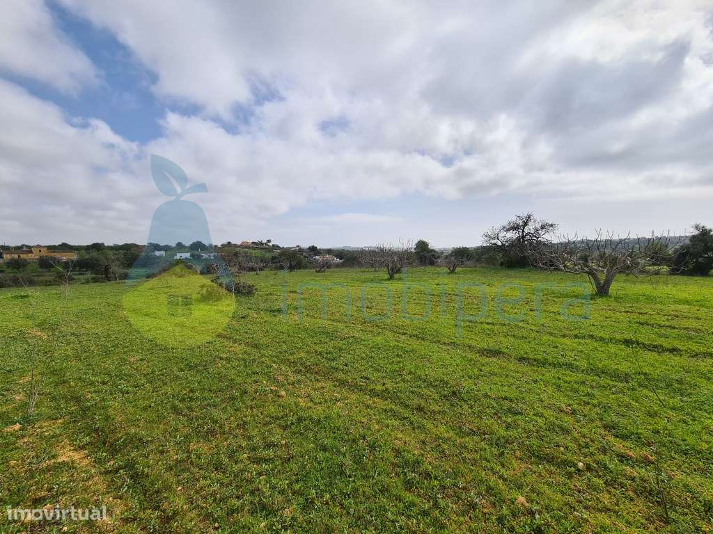 Terreno rústico com 14550 m2 em Albufeira, com boa exposição solar.... - Grande imagem: 4/8