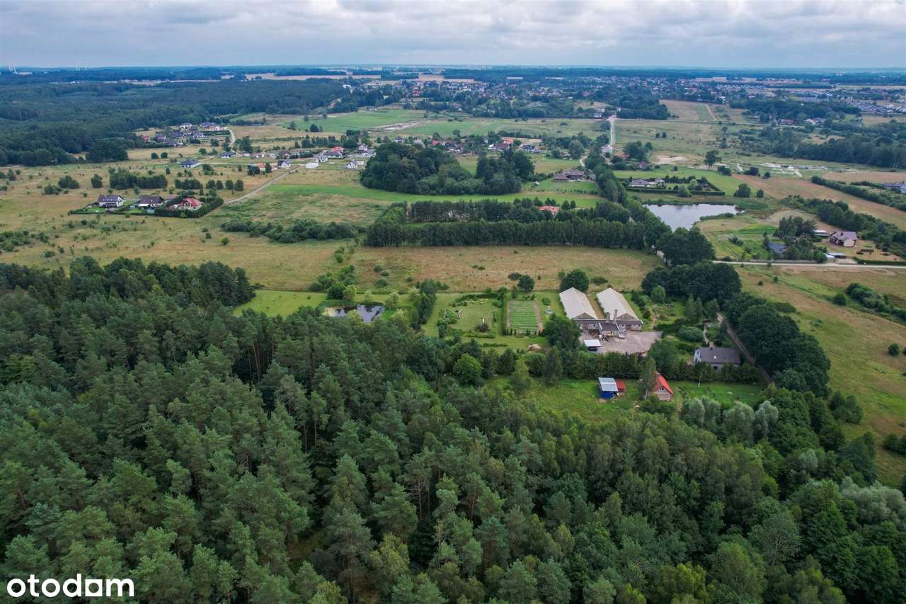 Działki koło Siemianic|pośród lasu|spokój i cisza - Pełny obrazek: 4/7