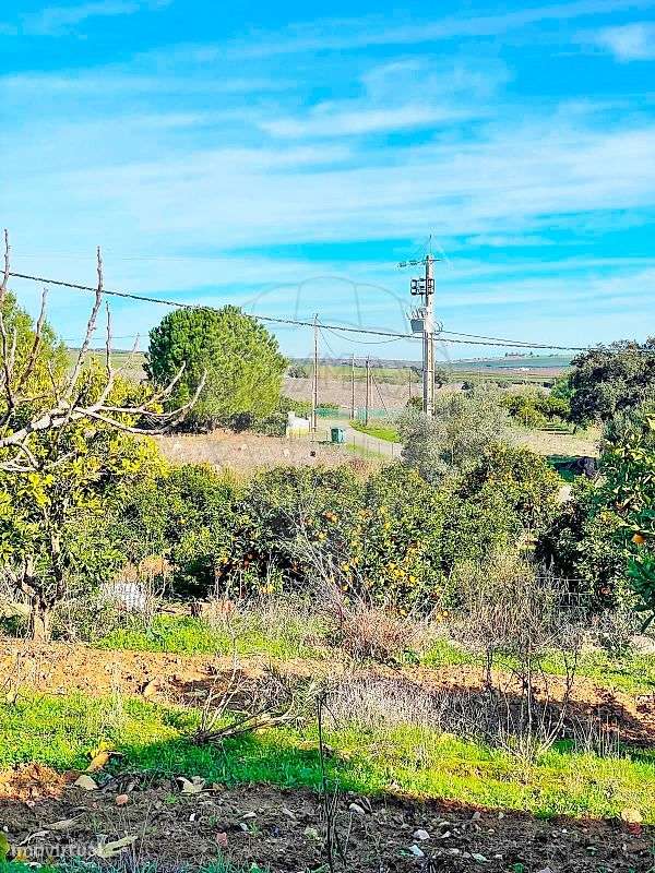 Quinta  para venda-34