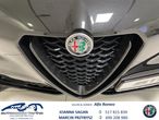 Alfa Romeo Stelvio 2.0 Turbo Veloce Q4 - 6