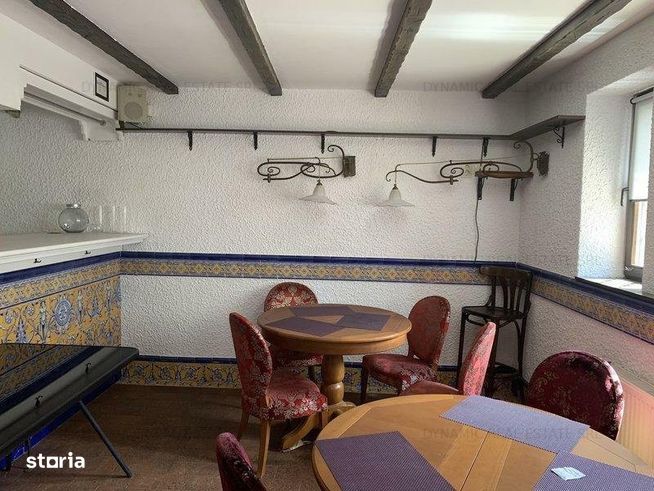 Cismigiu - Vila - Restaurant - 10 Camere - Centrala-6
