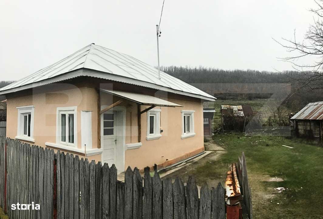 Casa + teren 1.724 mp de vanzare – Valea Mare, Dambovita - Imagine principală: 2/11