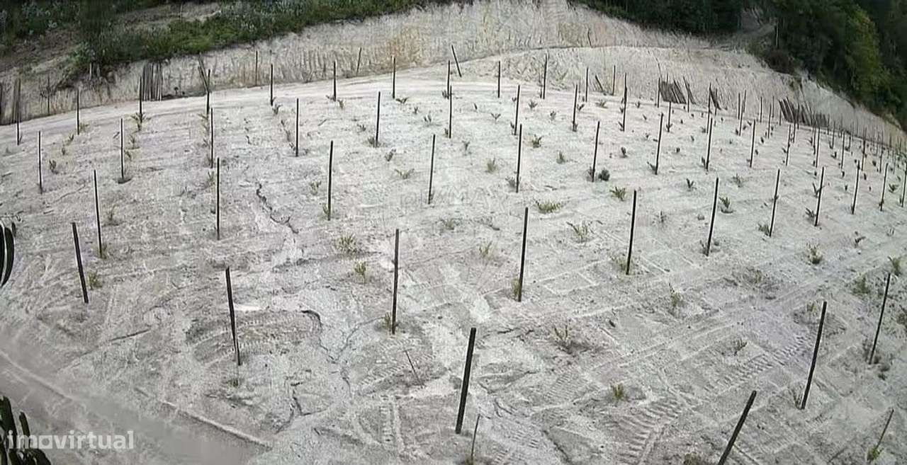 Terreno  para venda - Grande imagem: 5/11