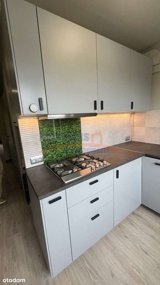 Pogodno - 2 pokoje, balkon -po kapitalnym remoncie-3