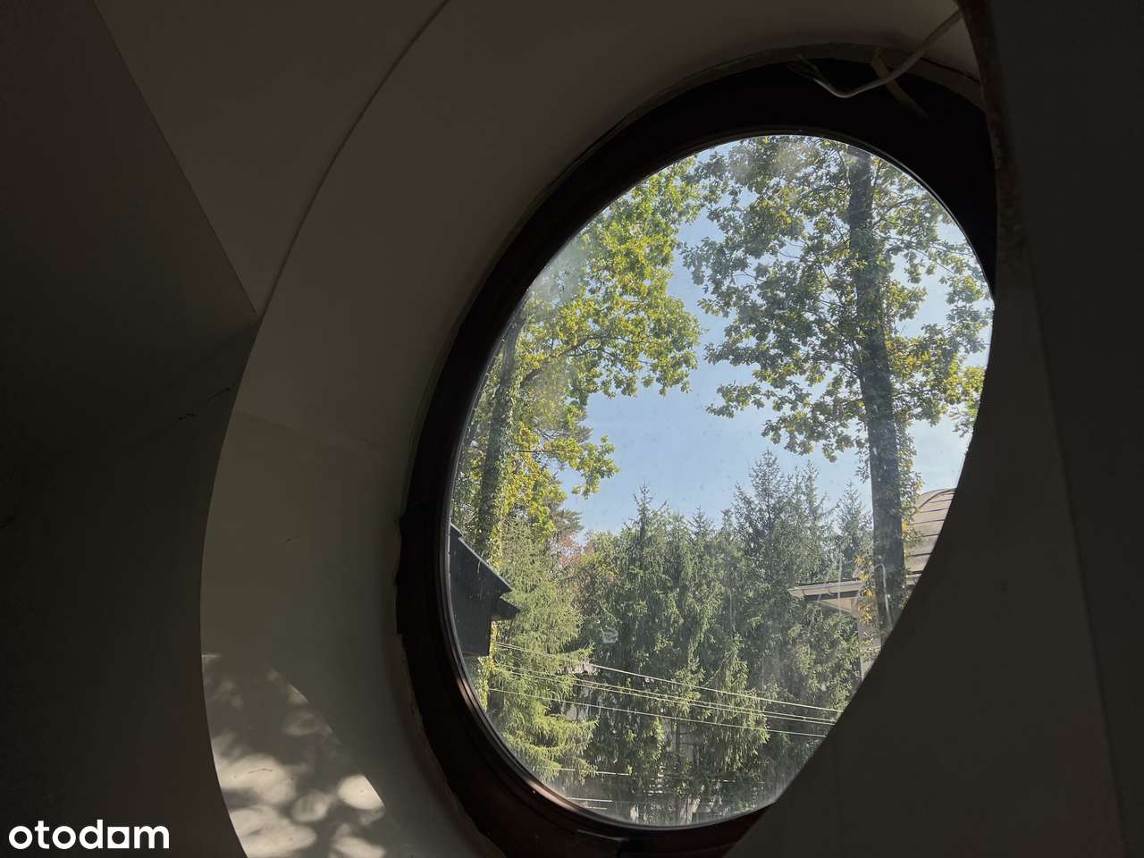 Dom | anin | zielono | cisza | basen | starodrzew | premium | Wawer-11