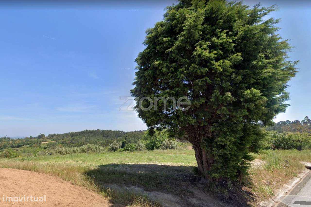 Terreno 2270m2 | Samuel | Soure - Grande imagem: 5/15