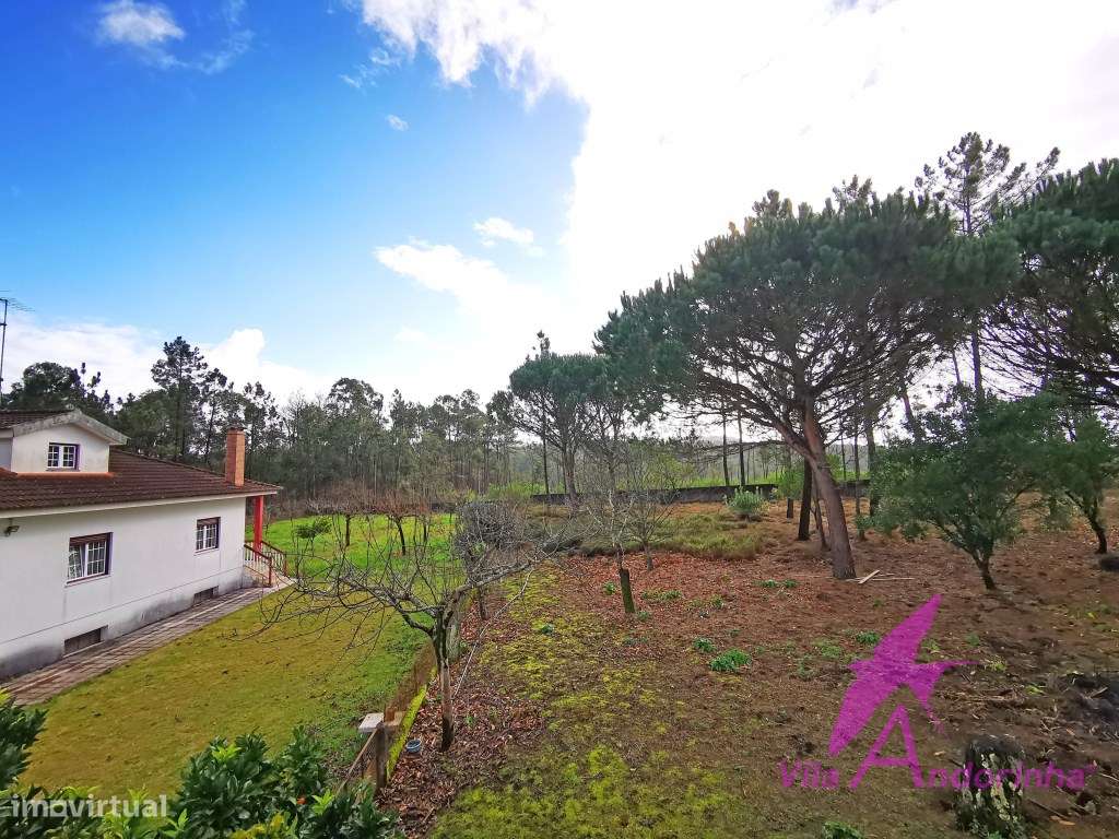 Moradia Isolada com ótima exposição solar - Grande imagem: 4/33