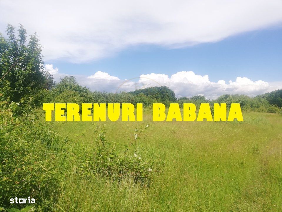 Terenuri Babana diverse suprafete