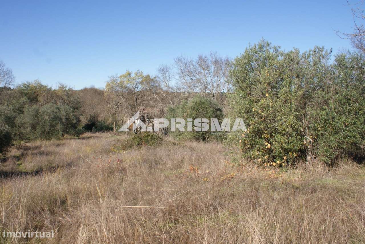Oportunidade Única às Portas de Castelo Branco!-4