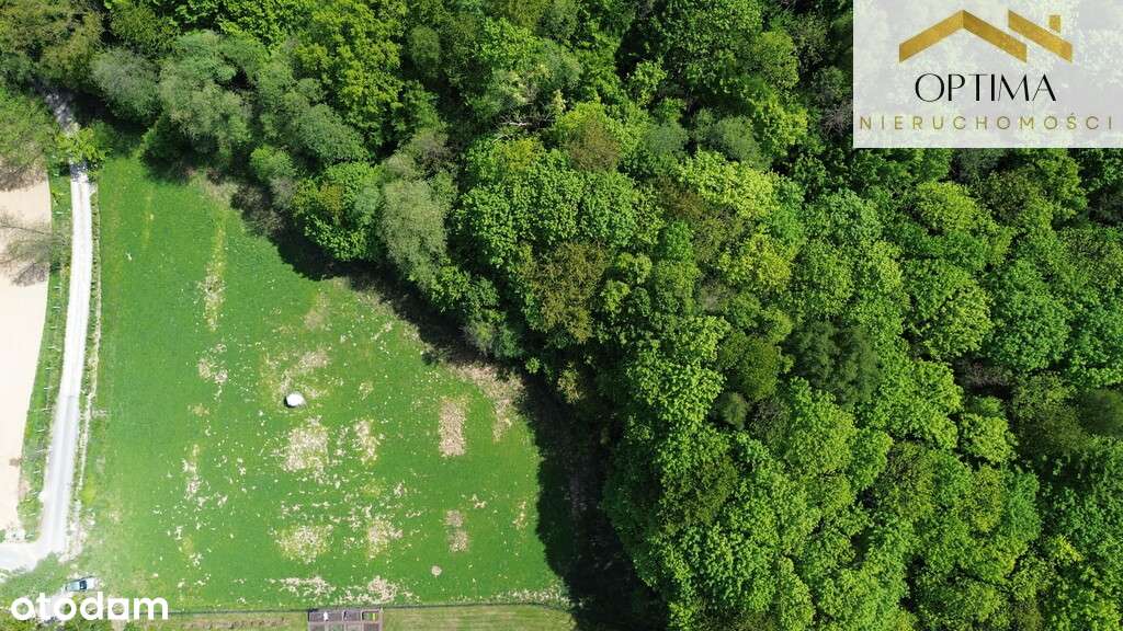 Atrakcyjna działka widokowa z lasem-6