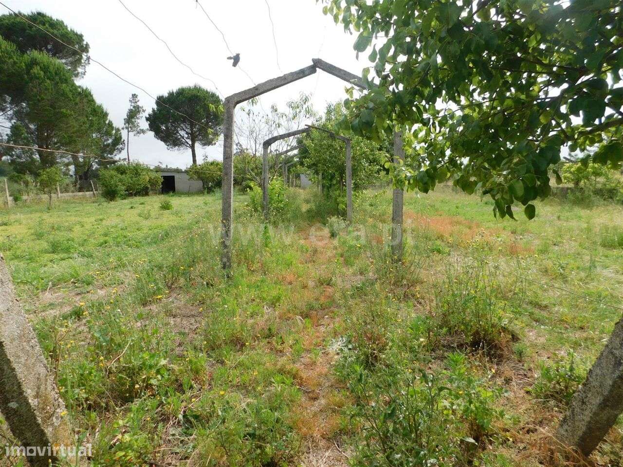 Moradia T4 / Oliveira do Hospital, Seixo da Beira - Grande imagem: 5/19