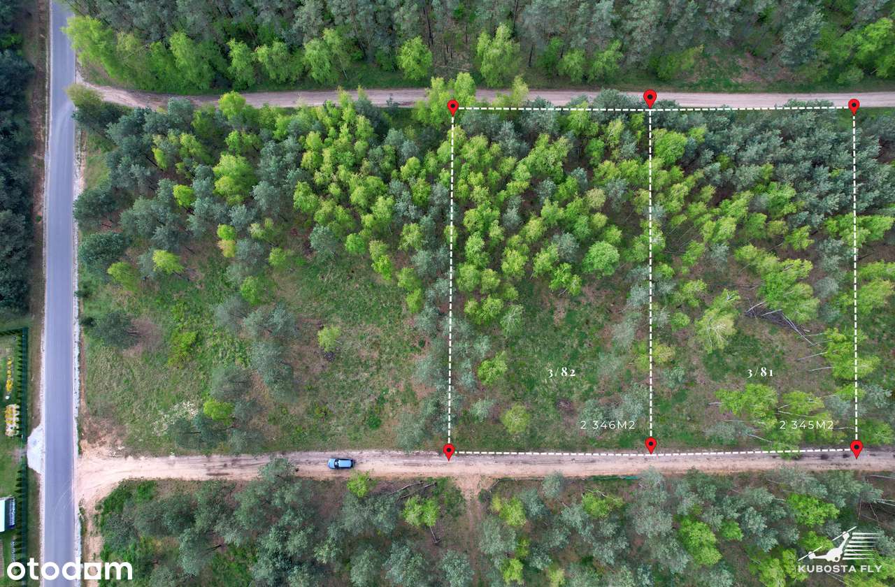 Działka ze starodrzewiem - Puszcza Zielonka Karczewko-4