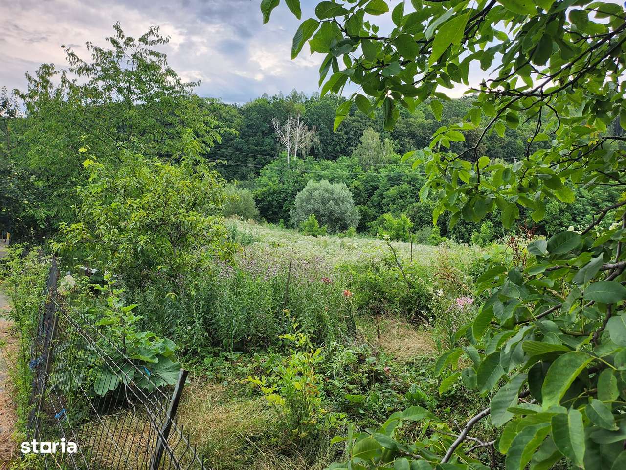 Casa cu teren langa padure la Buhoci - Imagine principală: 2/12